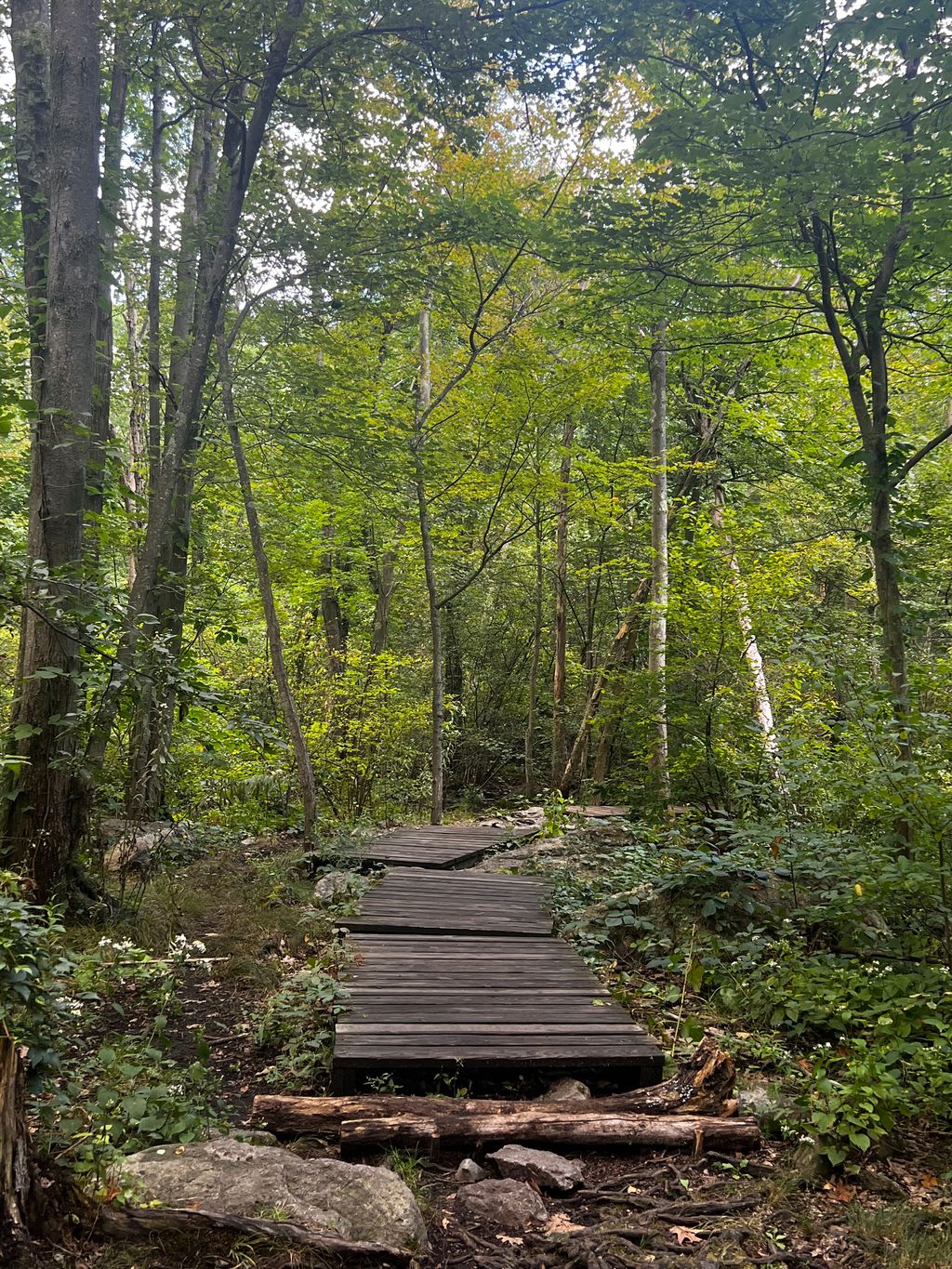 Explore the diverse ecosystems and engaging activities at Webster Conservation Area, where nature meets recreation.