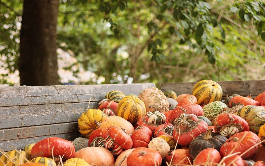 Experience Autumn Magic at the Newton Harvest Fair: Crafts, Food, and Fun!